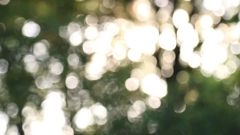 Sunset in the park, Sunset sun in spring, Sun rays Stock Footage