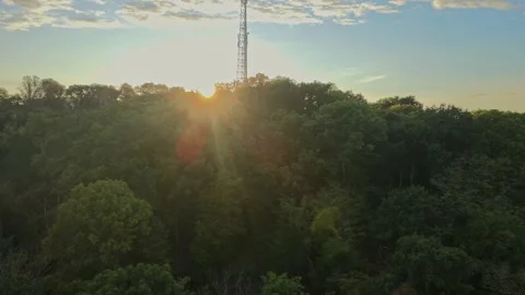 Sunset in park. Tower in the woods. Stock Footage 161592786
