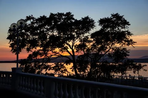 Sunset passes through a tree, against the background of mountains and the sea 스톡 사진