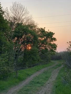 Sunset Path Through the Spring Countryside Foto stock