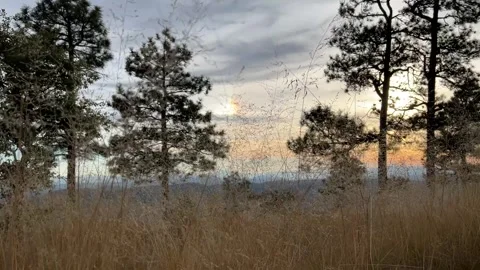 Sunset Payson Arizona Stock Footage 295573333