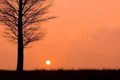 Sunset in a peaceful evening Stock Photos