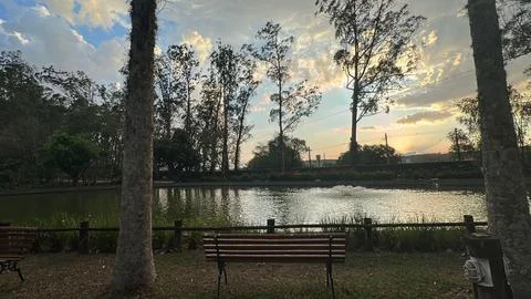 Sunset in a peaceful park. Stock Photos