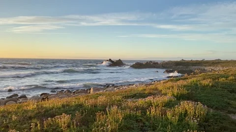 Sunset at Pebble Beach Stock Footage 169112295