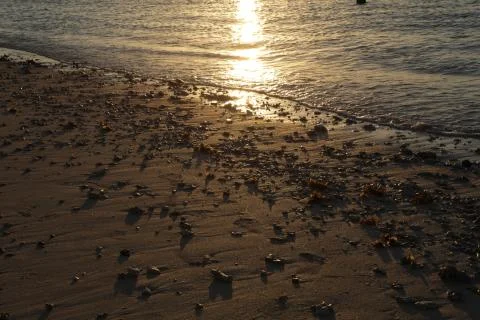 Sunset Pebbles Stock Photos