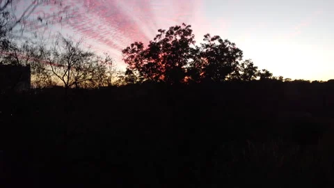 Sunset Pedestal Down into Trees 2.7k Stock Footage 145563223