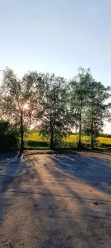Sunset Peeking Through Trees Along a Quiet Country Road Foto stock