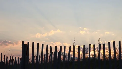 Sunset in Pensacola Florida. Stock-Footage 72032280