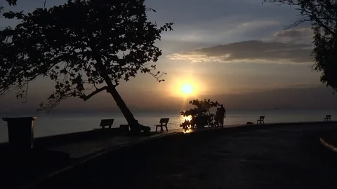 Sunset people going Stock Footage 114486406