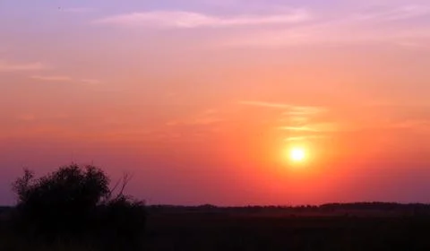 Sunset 스톡 사진