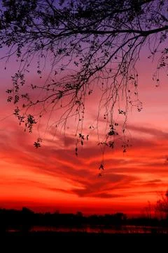 Sunset Stock Photos