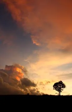 Sunset Stock Photos