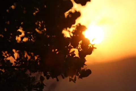 Sunset Stock-Fotos