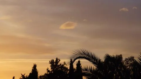 Sunset Stock-Fotos