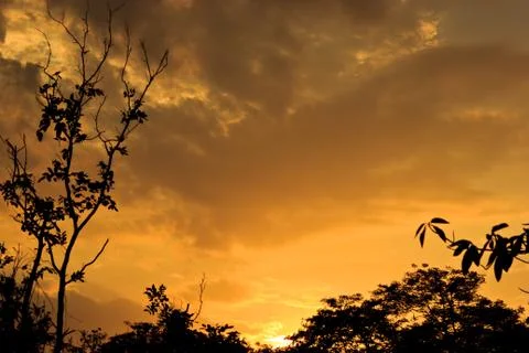 On sunset Stock Photos