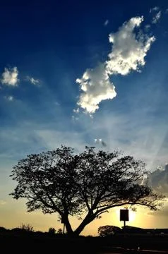 Sunset Stock Photos