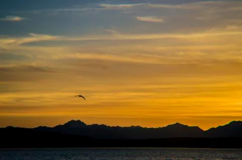 Sunset. Stock Photos