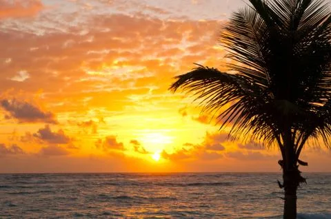 Sunset Stock Photos