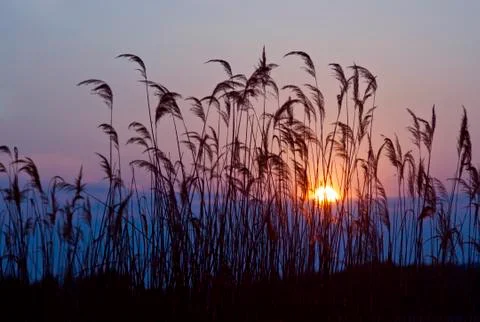 Sunset Foto stock