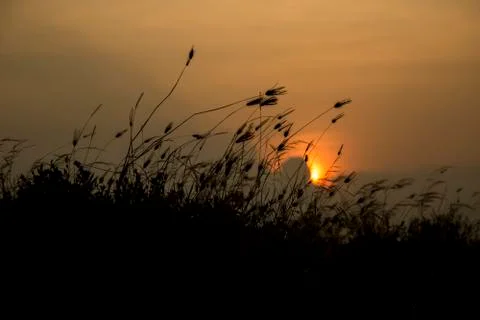 Sunset Fotos de archivo