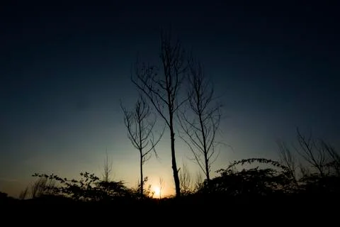 Sunset Fotos de archivo