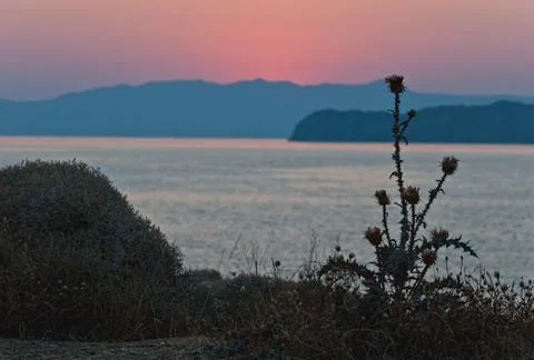 Sunset. Stock Photos