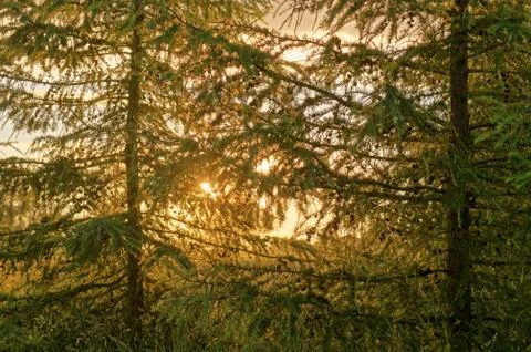 Sunset Foto stock