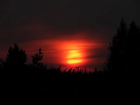 Sunset. Stock Photos