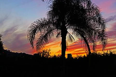 SUNSET 스톡 사진