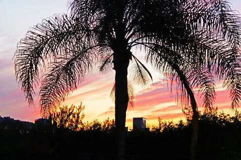 Sunset 스톡 사진