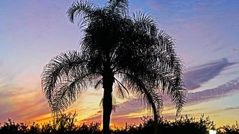 Sunset 스톡 사진