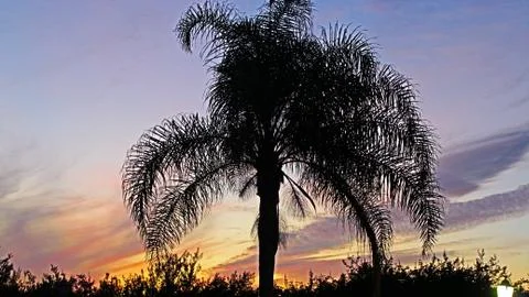 Sunset 스톡 사진