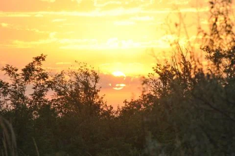 Sunset 스톡 사진