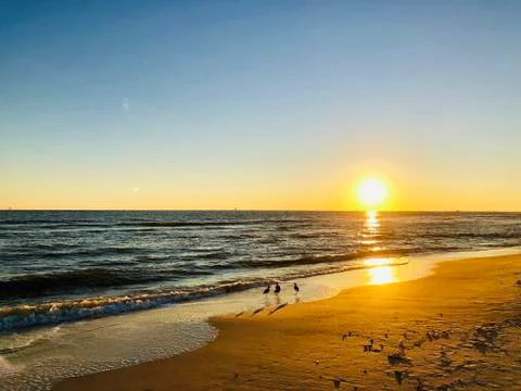 Sunset  Stock Photos