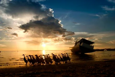 Sunset 스톡 사진
