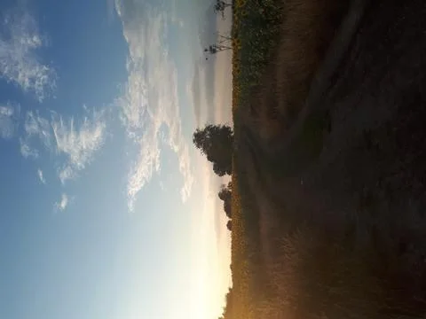 The sunset Fotos de archivo