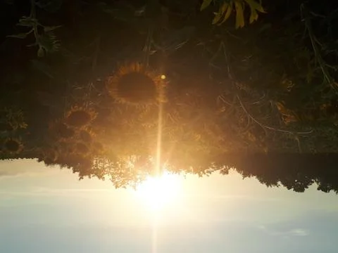 The sunset Fotos de archivo