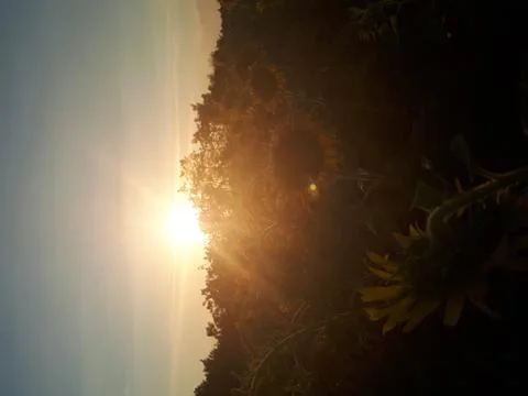 The sunset Fotos de archivo