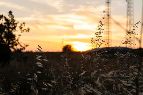 At sunset Stock Photos