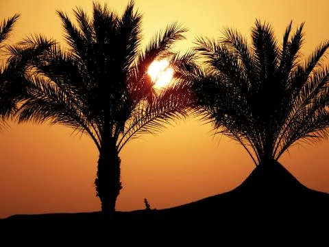 Sunset 스톡 사진