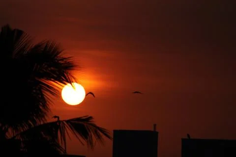 Sunset 스톡 사진