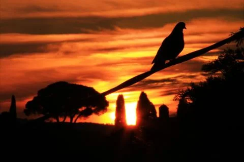 Sunset Stock Photos