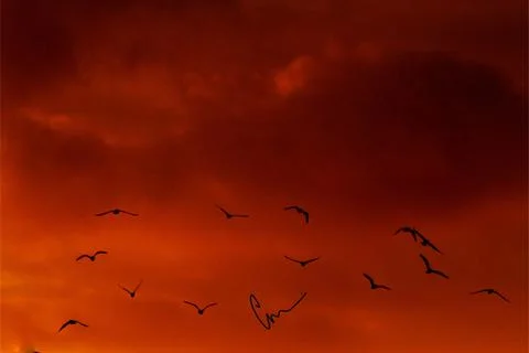Sunset Stock Photos