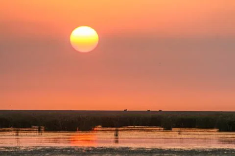 Sunset Stock Photos
