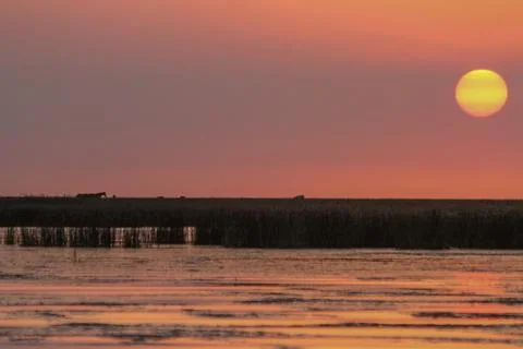 Sunset Stock Photos