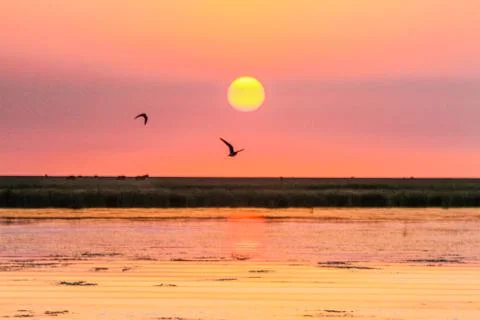Sunset Stock Photos