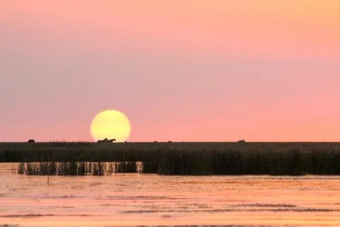 Sunset Stock Photos