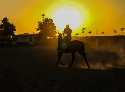 Sunset Stock Photos