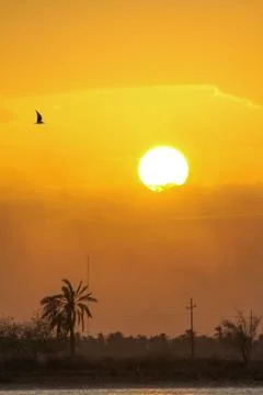 Sunset Stock Photos