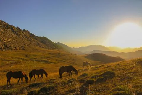 Sunset Stock Photos